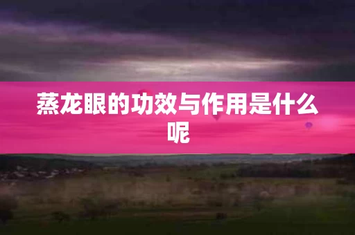 蒸龙眼的功效与作用是什么呢