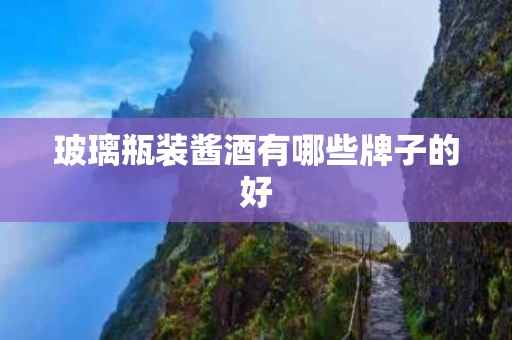 玻璃瓶装酱酒有哪些牌子的好