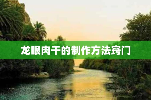 龙眼肉干的制作方法窍门