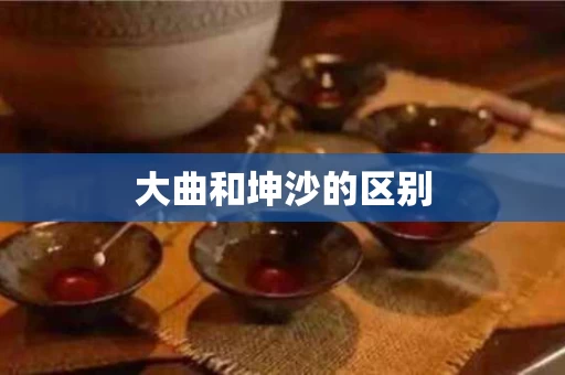 大曲和坤沙的区别