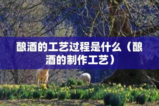 酿酒的工艺过程是什么（酿酒的制作工艺）