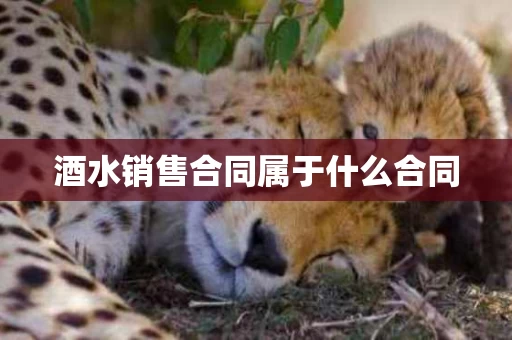 酒水销售合同属于什么合同