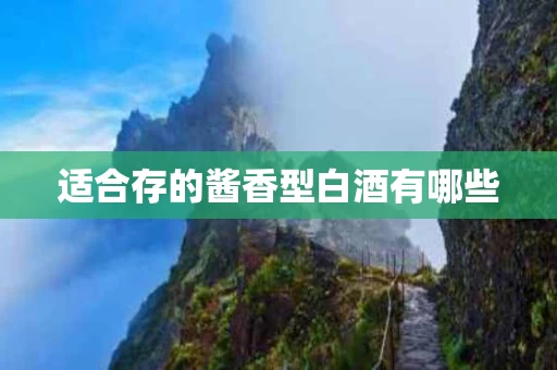 适合存的酱香型白酒有哪些