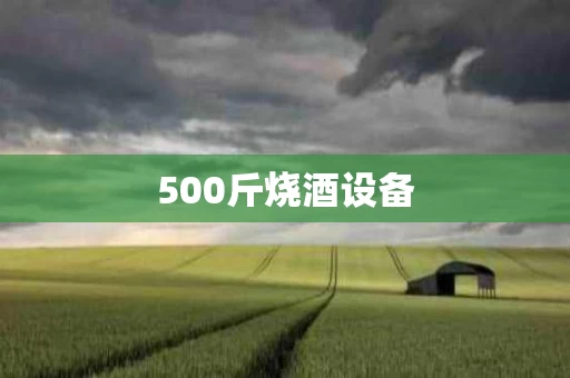 500斤烧酒设备