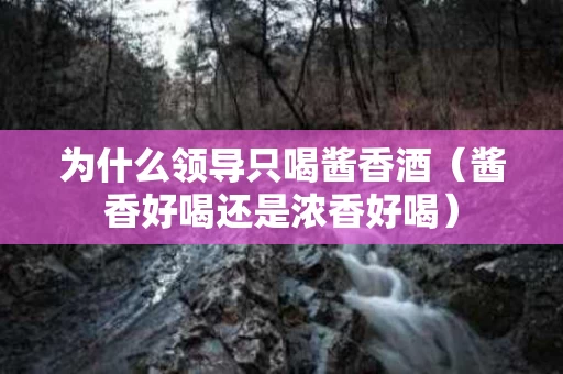 为什么领导只喝酱香酒（酱香好喝还是浓香好喝）