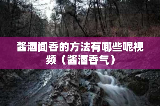 酱酒闻香的方法有哪些呢视频（酱酒香气）