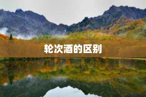 轮次酒的区别
