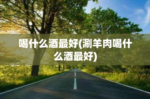 喝什么酒最好(涮羊肉喝什么酒最好)