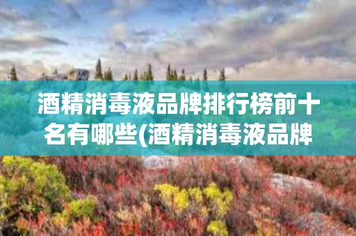 酒精消毒液品牌排行榜前十名有哪些(酒精消毒液品牌排行榜前十名有哪些呢)