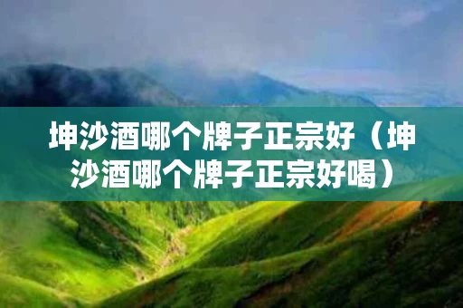 坤沙酒哪个牌子正宗好（坤沙酒哪个牌子正宗好喝）