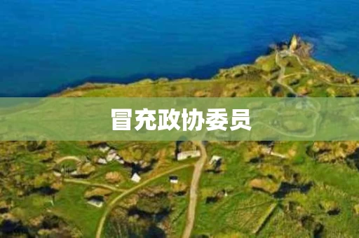 冒充政协委员