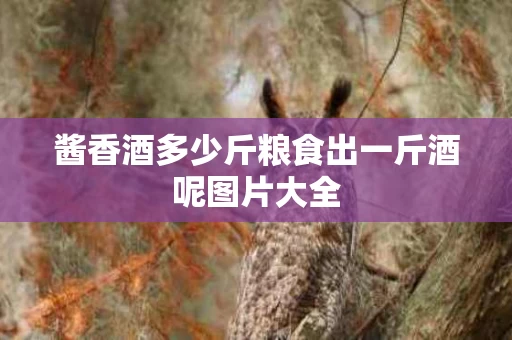 酱香酒多少斤粮食出一斤酒呢图片大全