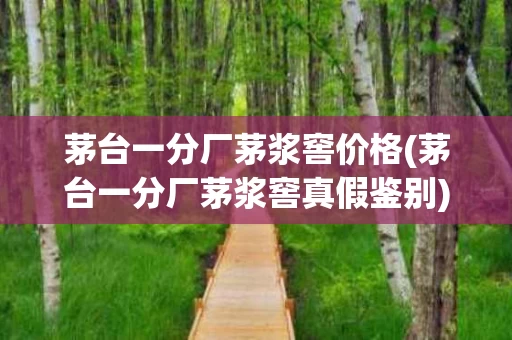 茅台一分厂茅浆窖价格(茅台一分厂茅浆窖真假鉴别)