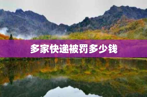 多家快递被罚多少钱