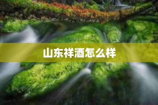 山东祥酒怎么样