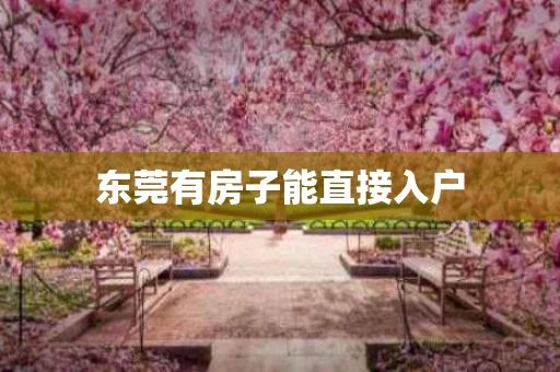 东莞有房子能直接入户