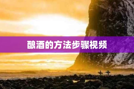 酿酒的方法步骤视频