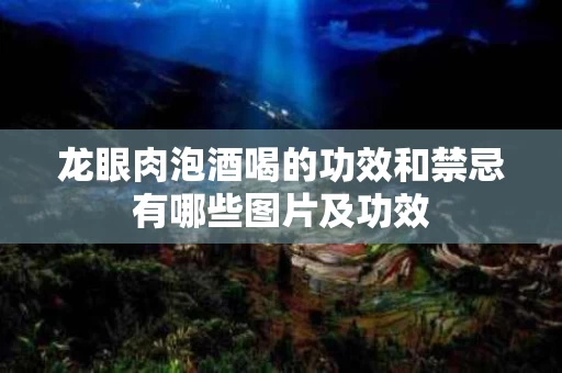 龙眼肉泡酒喝的功效和禁忌有哪些图片及功效