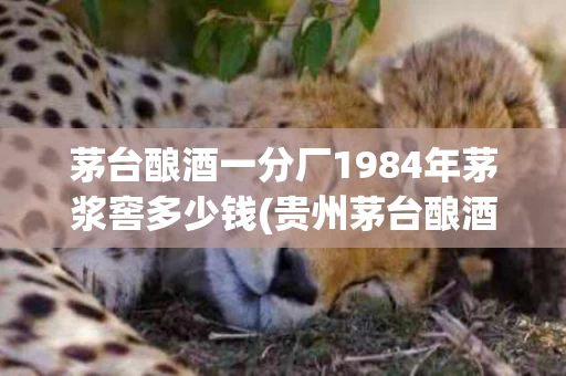 茅台酿酒一分厂1984年茅浆窖多少钱(贵州茅台酿酒一分厂87年茅浆窖酒53度价格)