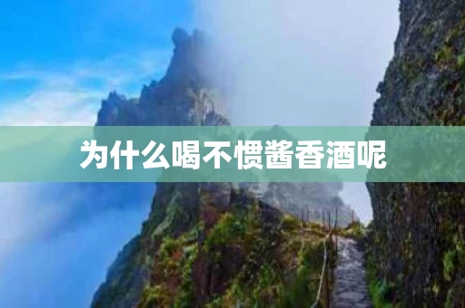 为什么喝不惯酱香酒呢