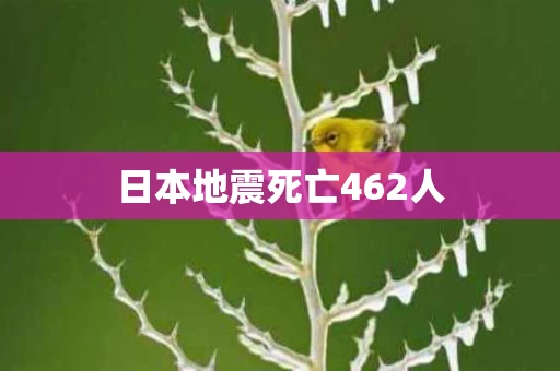 日本地震死亡462人
