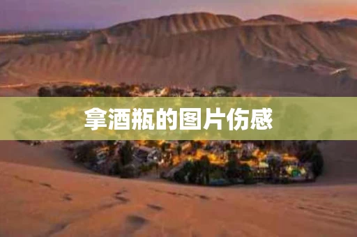 拿酒瓶的图片伤感