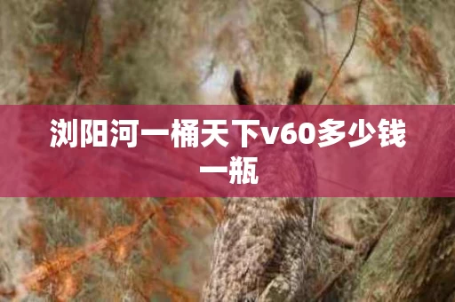 浏阳河一桶天下v60多少钱一瓶