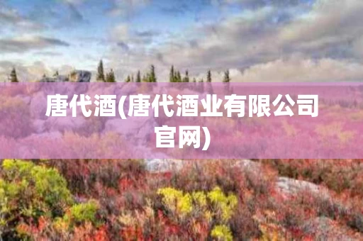 唐代酒(唐代酒业有限公司官网)