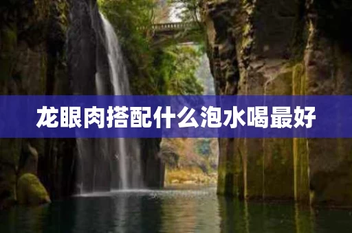 龙眼肉搭配什么泡水喝最好