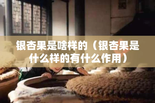 银杏果是啥样的（银杏果是什么样的有什么作用）