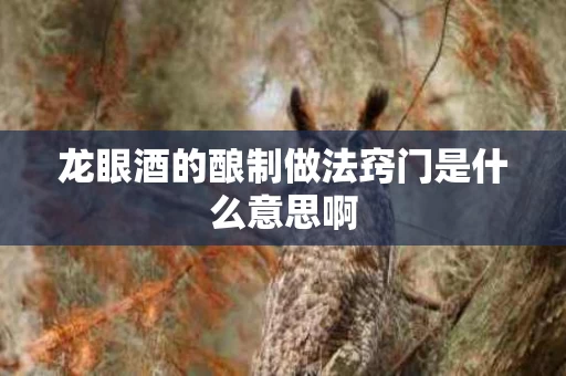 龙眼酒的酿制做法窍门是什么意思啊