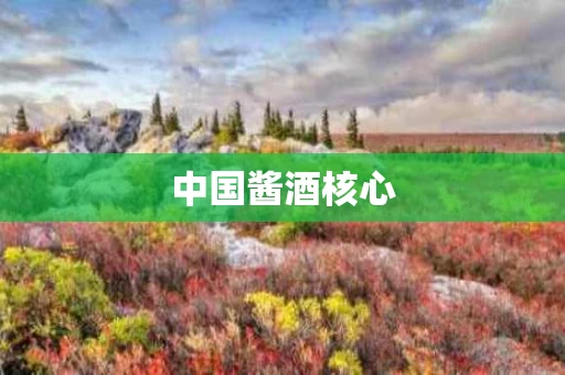 中国酱酒核心