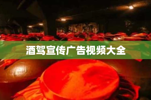 酒驾宣传广告视频大全