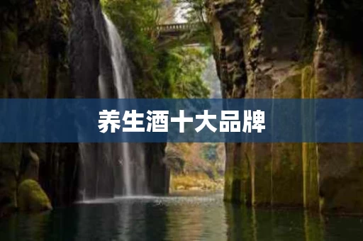 养生酒十大品牌