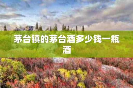 茅台镇的茅台酒多少钱一瓶酒