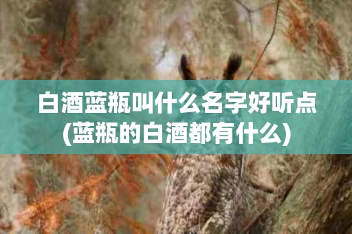 白酒蓝瓶叫什么名字好听点(蓝瓶的白酒都有什么)