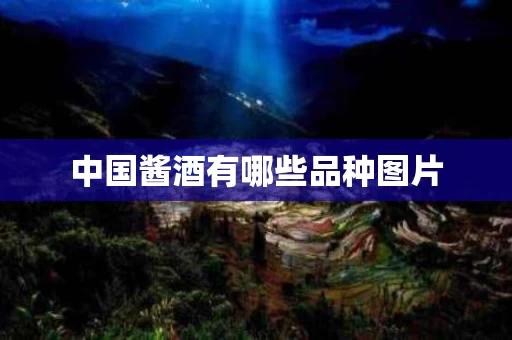 中国酱酒有哪些品种图片