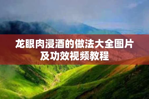 龙眼肉浸酒的做法大全图片及功效视频教程