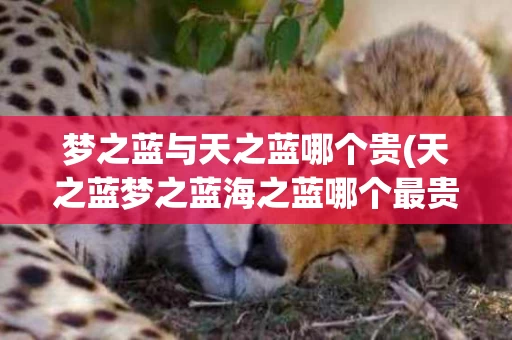 梦之蓝与天之蓝哪个贵(天之蓝梦之蓝海之蓝哪个最贵)