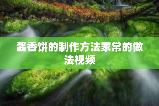 酱香饼的制作方法家常的做法视频