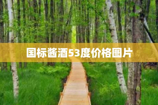 国标酱酒53度价格图片