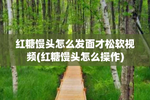 红糖馒头怎么发面才松软视频(红糖馒头怎么操作)