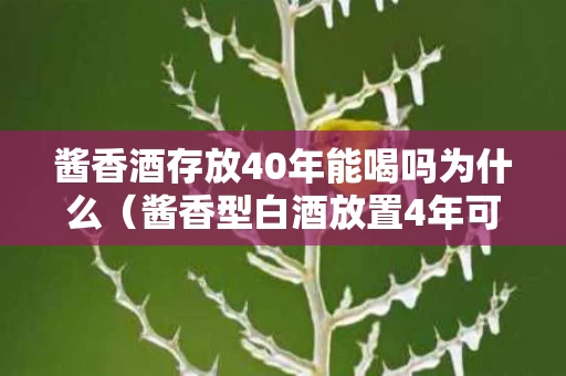 酱香酒存放40年能喝吗为什么（酱香型白酒放置4年可以喝吗?）