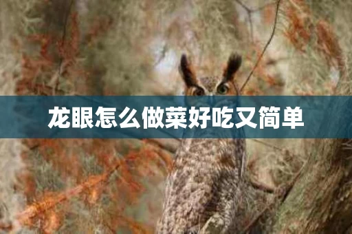 龙眼怎么做菜好吃又简单