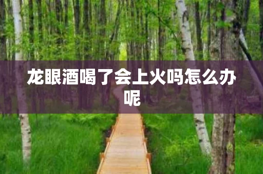 龙眼酒喝了会上火吗怎么办呢