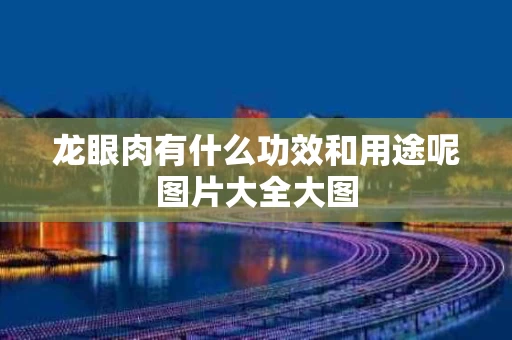 龙眼肉有什么功效和用途呢图片大全大图