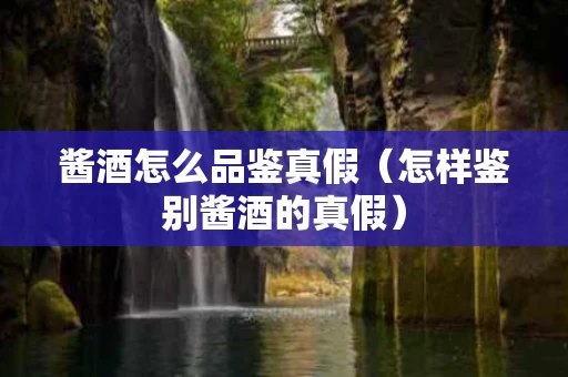 酱酒怎么品鉴真假（怎样鉴别酱酒的真假）