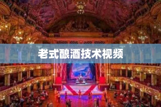 老式酿酒技术视频