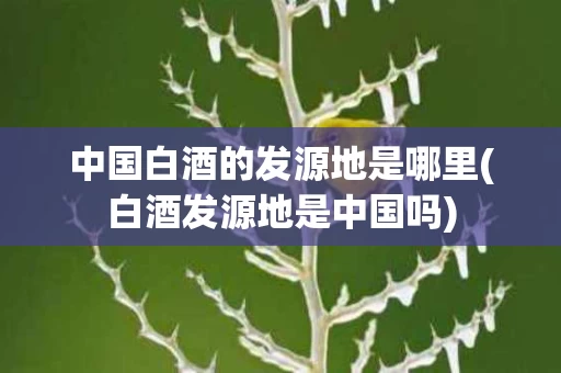 中国白酒的发源地是哪里(白酒发源地是中国吗)