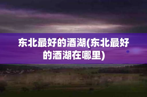 东北最好的酒湖(东北最好的酒湖在哪里)